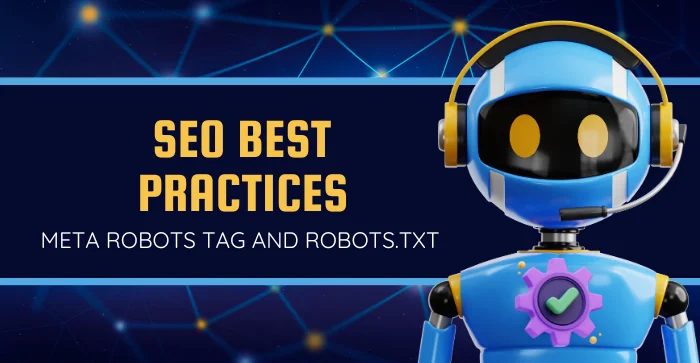seo-best-practices-to-set-up-meta-robots-tag-and-robots-txt