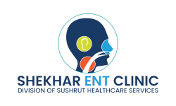 shekhar-ent-logo